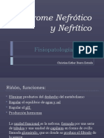 Sindrome Nefrotico y Nefritico