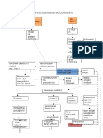 Patofisiologi Infeksi Saluran Kemih New