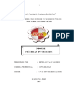 Informe Practicas-Pre-Profesionales