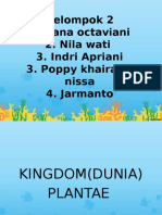 kingdom dunia anamalia