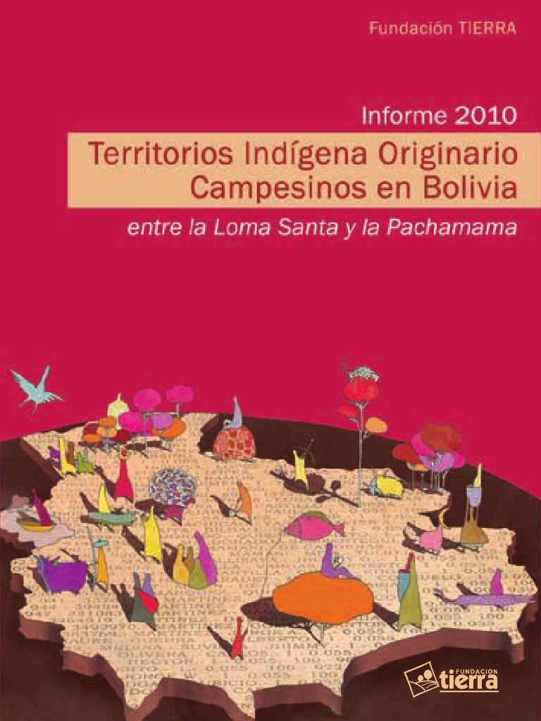 Territorios Indígena Originario Campesinos En Bolivia Gente Indígena