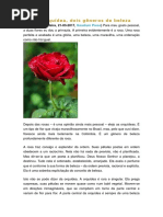 Rosa e Orquídea - Dois Gêneros de Beleza