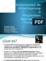 enfermedaddehirschsprung-111008125557-phpapp02.pptx