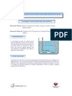 D.A.F.pdf