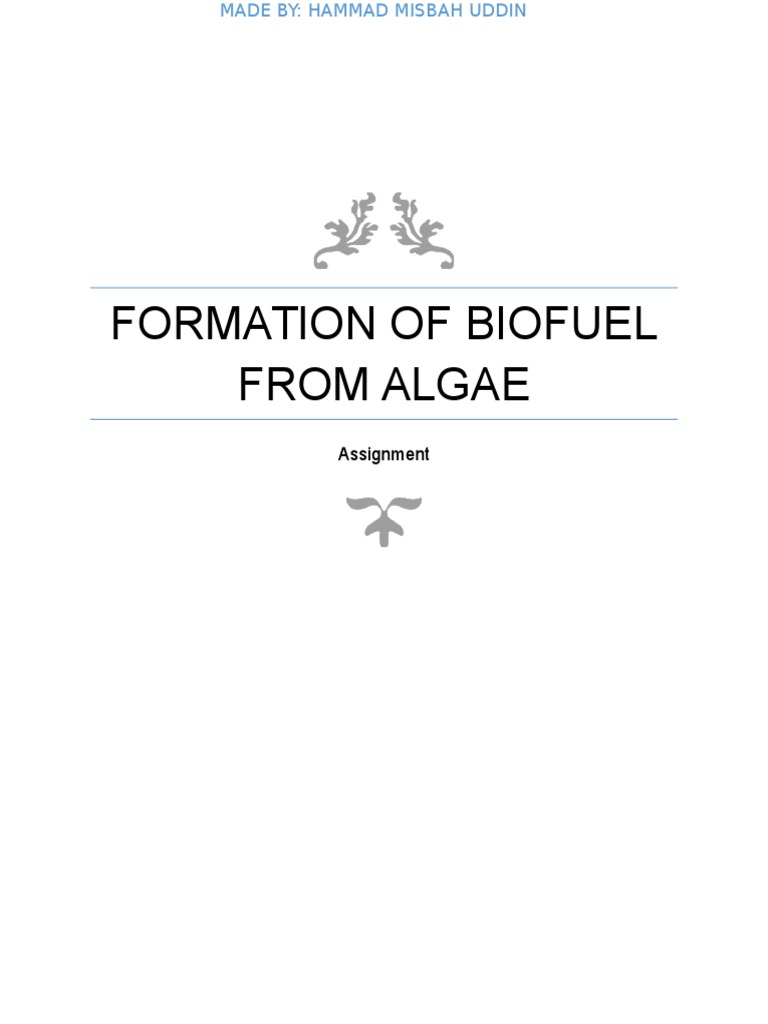 Algae Biofuel Extraction Methods Explained | PDF | Algae Fuel | Biofuel