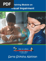 Download Module 4 Visual Impairmentpdf by Tanase Patricia SN344740312 doc pdf