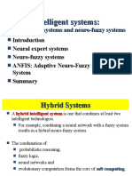 2012 1161. Neuro Fuzzy Systems