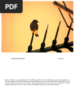 Questionários Filosóficos_Paulo Vitor Grossi & Marília Veloso (2017)