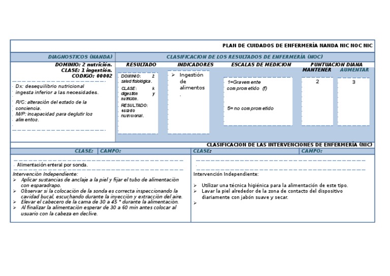DX Desequilibrio Nutricional Inferior A Las