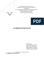 Gerente de Proyectos