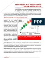 Bioestimulacion de La Maduracion de Frutos en Cultivos Hortofruticolas PDF