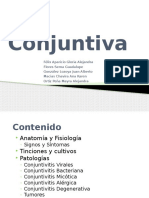 Conjuntiva 111001185739 Phpapp02