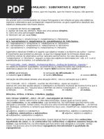 2º Ano - Revisão Substantivo e Adjetivo - c Gab