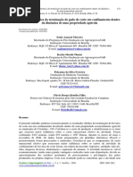 Análise econômica em gado de corte