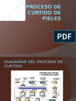 procesodecurtidodepieles PPT