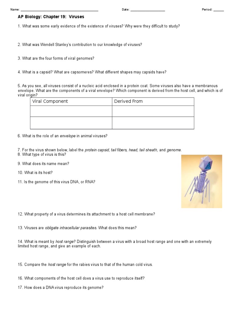 AP Biology: Viruses Overview | PDF | Virus | Bacteriophage