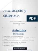 Antracosis y Siderosis...