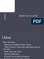 Materi Sap 3 (Morfologi Akar)