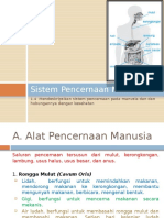 Sistem Pencernaan Manusia