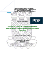 2 Tese - Samara - Cinthya - Lucena - PDF Ufpb PDF