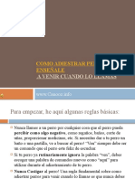 Pasos Como Adiestrar Perros: Llamar Al Perro y Que Venga