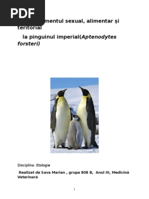 Eto Pinguin