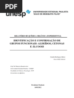 Relatório Identificação e Confirmação de Grupos Funcionais