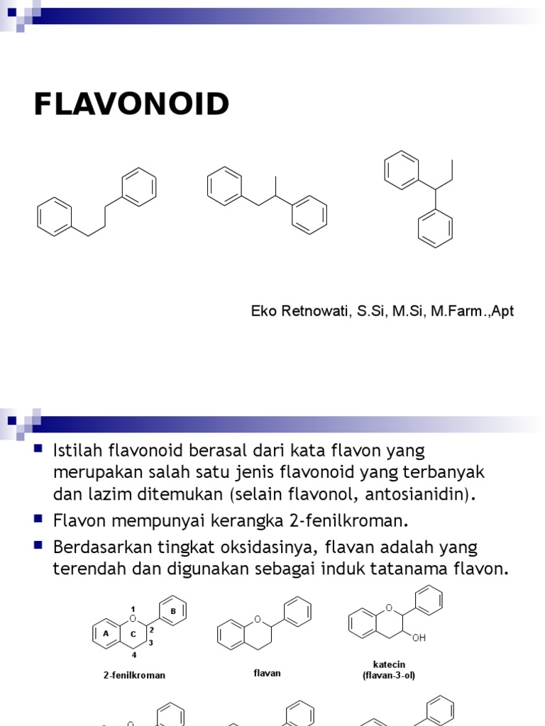 Flavonoid PDF