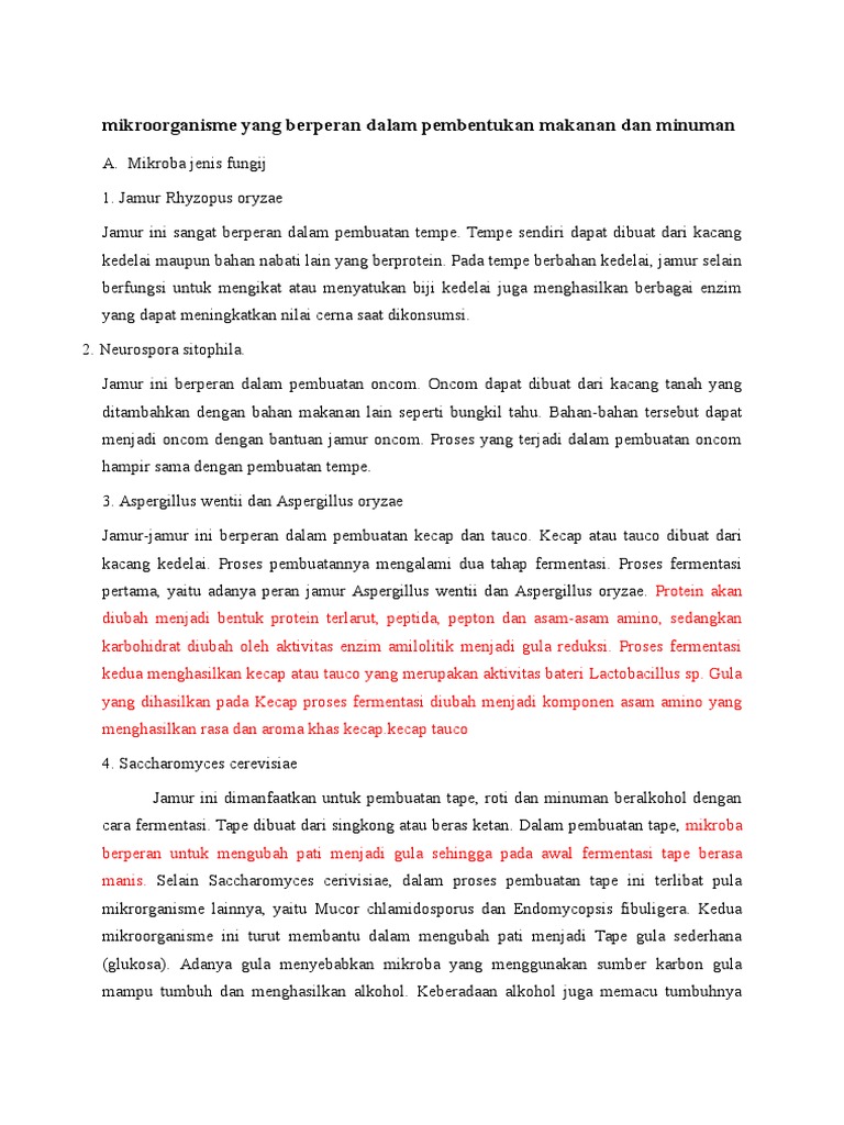 Mikroorganisme Yang Berperan Dalam Pembentukan Makanan Dan Minuman