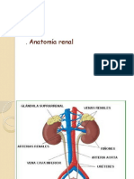 1 Anatomia Riñon