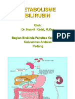 BILIRUBIN MEKANISME.ppt