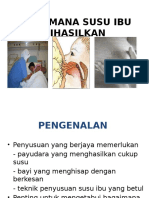 Unit 3 Anatomi Payudara(breastfeeding course)