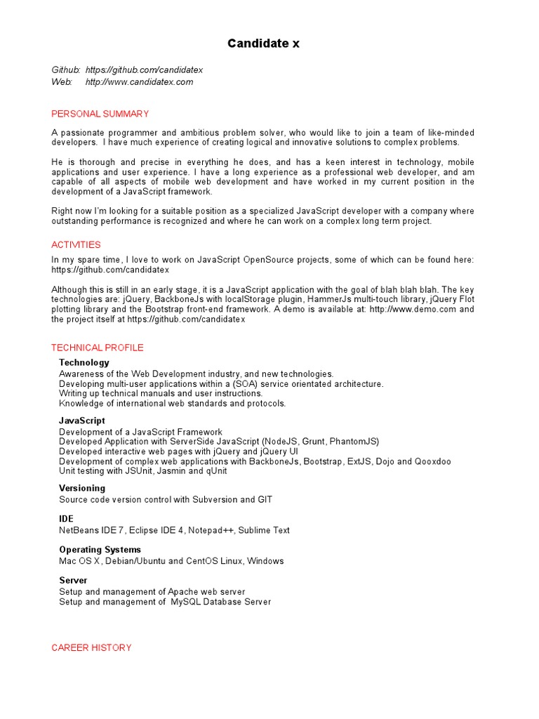 Example CV - JavaScript Developer | Ext Js | Java Script