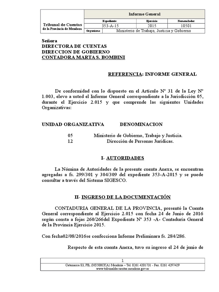 Informe Tribunal de Cuentas | PDF | Liquidación | Contabilidad