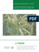 Uso de Biofertilizantes Micorrizicos en Trigo PDF