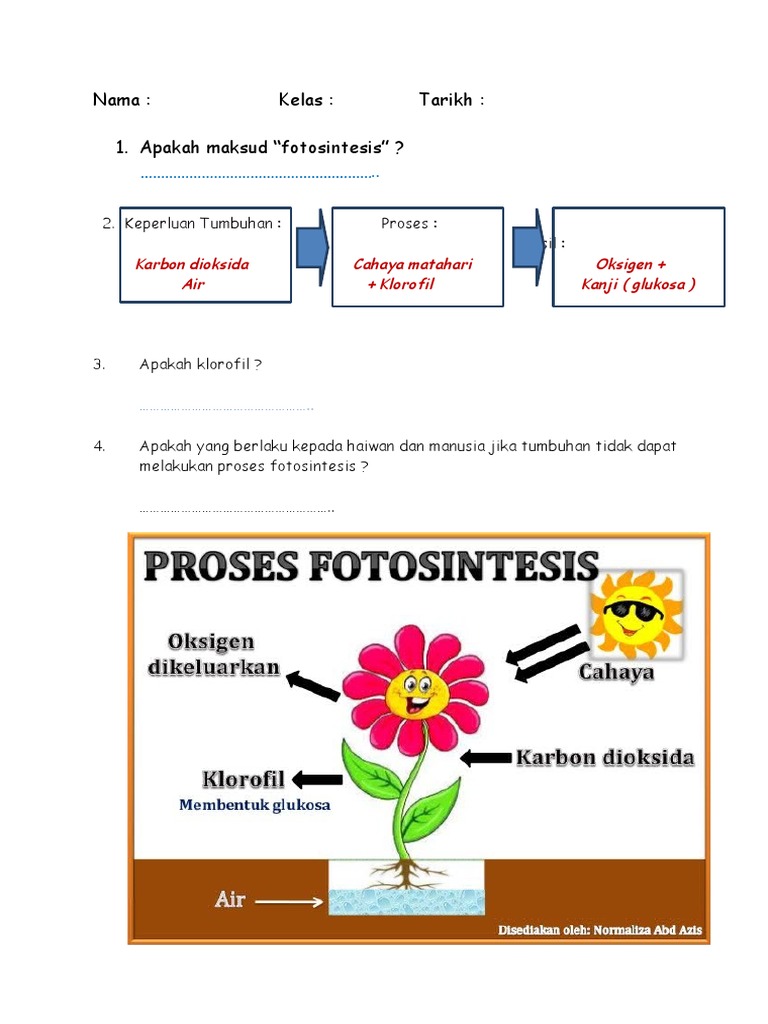 Fotosintesis Pdf