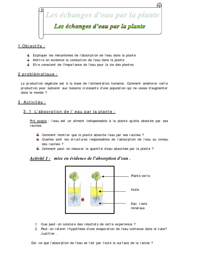 Exercices Corrigés Controle Svt 6ème Cellule Pdf Cours Mecanisme D'absorbtion D'eau+ QCM | PDF | Osmose | Racine