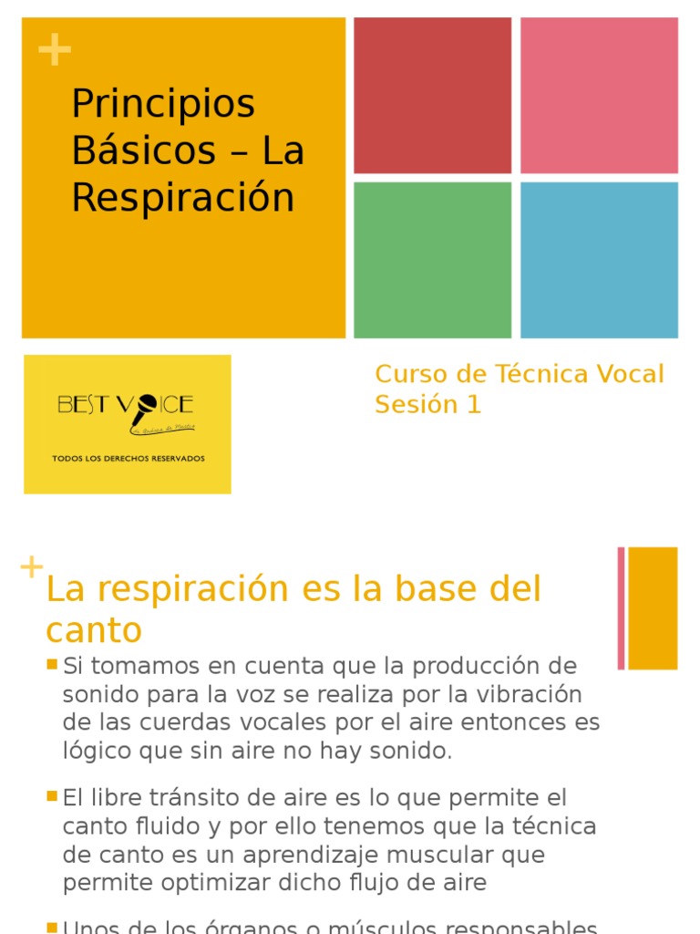 Tecnica Vocal - Sesión 1 - Principios de La Respiración | PDF | Canto ...