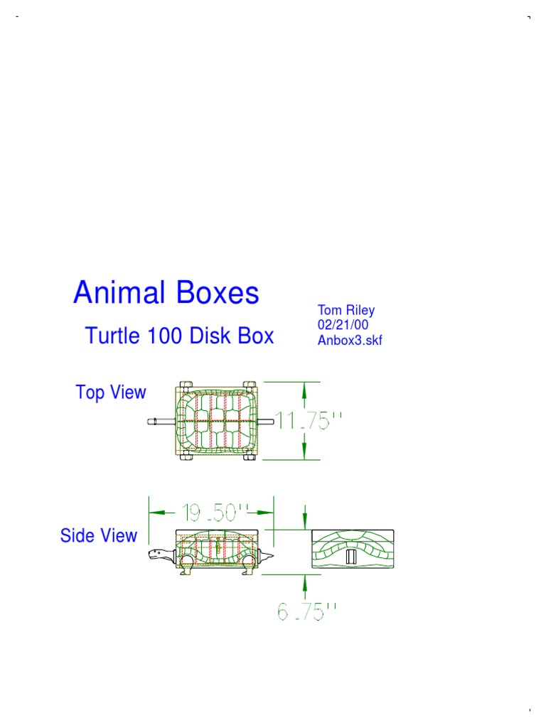 Animal Boxes: Turtle 100 Disk Box | PDF