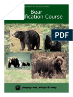 Bear Identification Course: Montana Fish, Wildlife & Parks