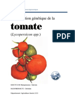 Amélioration de la tomate