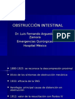 Obstruccion Intestinal