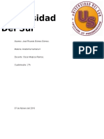  Occipitofrontal, Procer, Nasal, Depresor, Orbicular Del Ojo, Corrugador, Orbicular de La Boca, Depresor, Tranverso, Risorio.