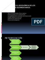 Geoquimica de Los Procesos Sedimentarios PDF