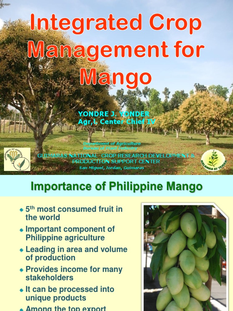 Integrated Mango Crop Management Guide | PDF | Pruning | Pesticide
