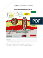 Diccionario de La Kinesilogia