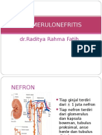 GloMeRuloNefritis