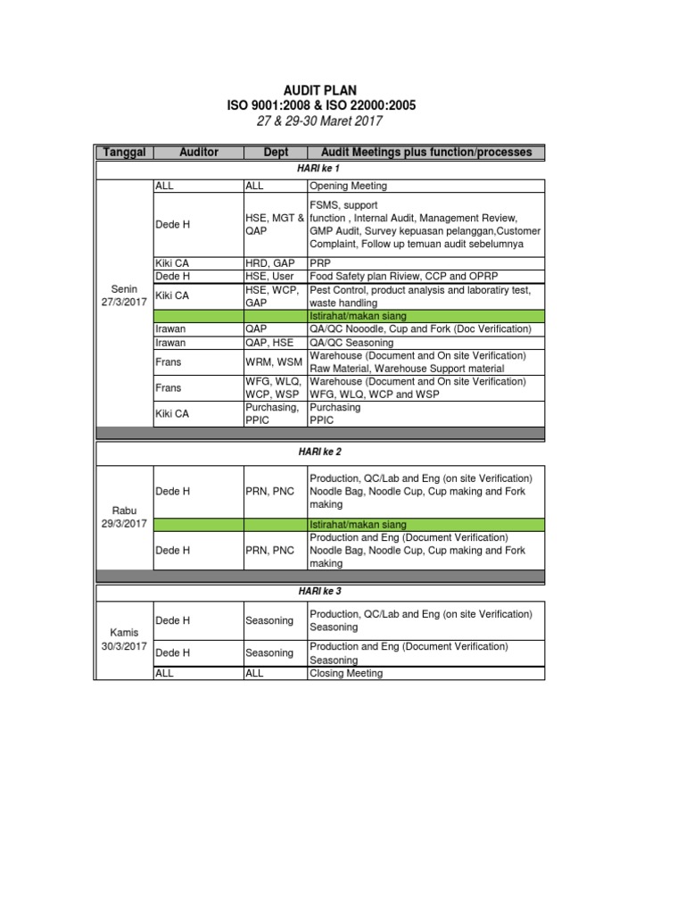 Audit Plan | PDF