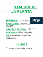 Plantacion de La Planta