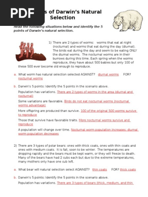 5-points-of-natural-selection-answer-key-pdf-natural-selection-adaptation